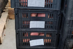 WhatsApp-Image-2025-06-18-at-4.18.54-PM