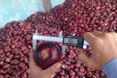 WhatsApp-Image-2025-06-18-at-4.19.06-PM