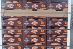 WhatsApp-Image-2025-06-18-at-4.20.23-PM