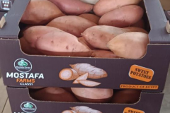 WhatsApp-Image-2025-06-18-at-4.21.05-PM