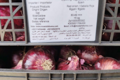 WhatsApp-Image-2025-06-18-at-4.21.40-PM