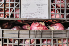 WhatsApp-Image-2025-06-18-at-4.21.53-PM