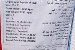 WhatsApp-Image-2025-06-18-at-4.22.37-PM