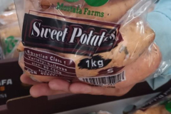 WhatsApp-Image-2025-06-18-at-4.23.20-PM