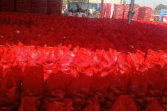 WhatsApp-Image-2025-06-18-at-4.27.12-PM-2