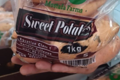 WhatsApp-Image-2025-06-18-at-4.27.12-PM