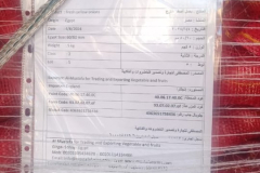 WhatsApp-Image-2025-06-18-at-4.27.13-PM