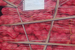 WhatsApp-Image-2025-06-18-at-4.27.14-PM