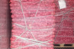 WhatsApp-Image-2025-06-18-at-4.27.16-PM