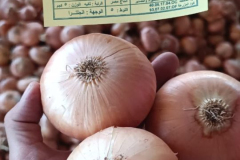 WhatsApp-Image-2025-06-18-at-4.27.33-PM