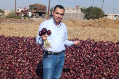 WhatsApp-Image-2025-06-18-at-4.27.55-PM-1