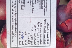 WhatsApp-Image-2025-06-18-at-4.27.55-PM-2