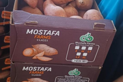 WhatsApp-Image-2025-06-18-at-4.27.56-PM-1