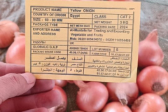 WhatsApp-Image-2025-06-18-at-4.27.56-PM-3