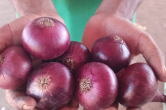 WhatsApp-Image-2025-06-18-at-4.27.57-PM