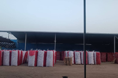 WhatsApp-Image-2025-06-18-at-4.28.08-PM