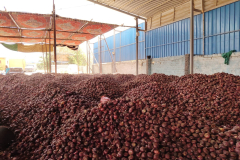 WhatsApp-Image-2025-06-18-at-4.31.32-PM-1