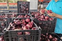 WhatsApp-Image-2025-06-18-at-4.31.32-PM-3