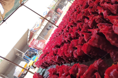 WhatsApp-Image-2025-06-18-at-4.31.32-PM