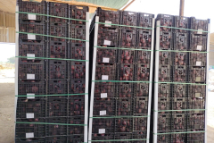 WhatsApp-Image-2025-06-18-at-4.31.33-PM