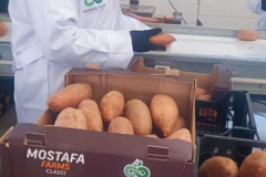 WhatsApp-Image-2025-06-18-at-4.34.04-PM-2