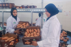 WhatsApp-Image-2025-06-18-at-4.34.04-PM