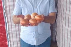 WhatsApp-Image-2025-06-18-at-4.34.06-PM