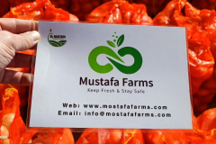 WhatsApp-Image-2025-06-18-at-4.34.28-PM