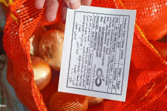 WhatsApp-Image-2025-06-18-at-4.34.33-PM