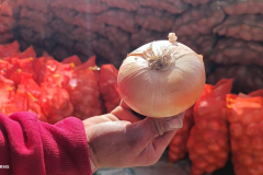 WhatsApp-Image-2025-06-18-at-4.34.37-PM