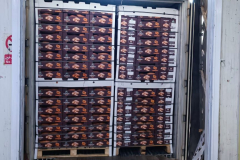 WhatsApp-Image-2025-06-18-at-4.34.42-PM