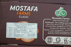 WhatsApp-Image-2025-06-18-at-4.34.51-PM